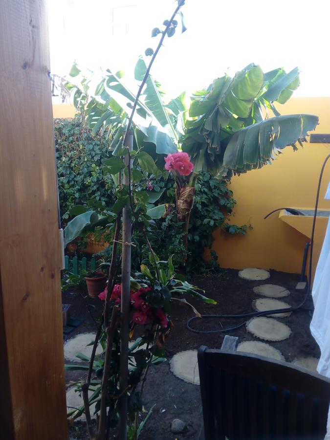 Sweet Home Playa Honda  Bagian luar foto